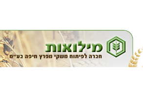 מילואות